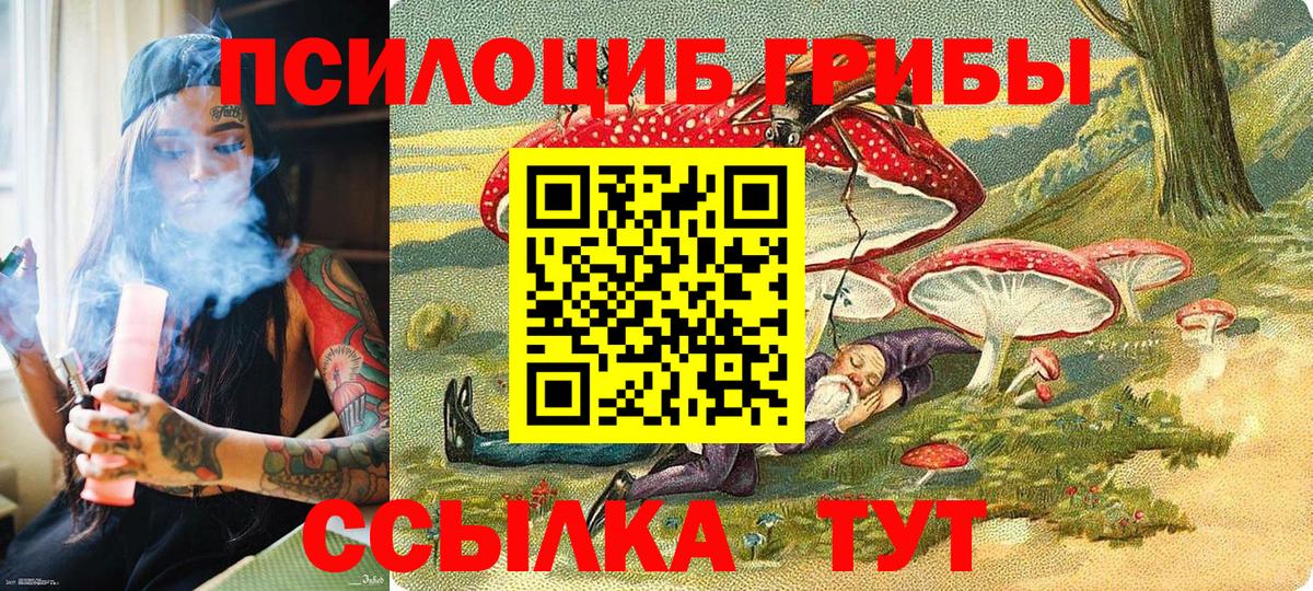 Галлюциногенные грибы прущие грибы Назарово